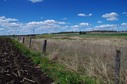 #4: Looking East from the confluence