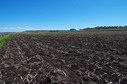 #6: Looking West from the confluence