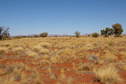 #2: Looking North From Confluence