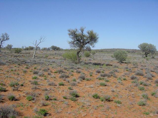 View to South