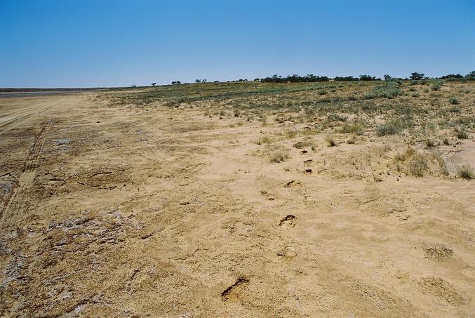 View to north - Can't really see corner post due to wide angle lens - footprint trail approximates true north