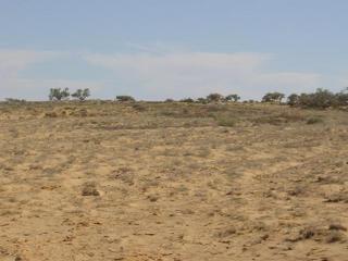 #1: View of the confluence with the Corner Post in the distance