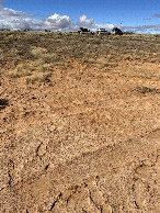 #4: Looking east from the confluence point