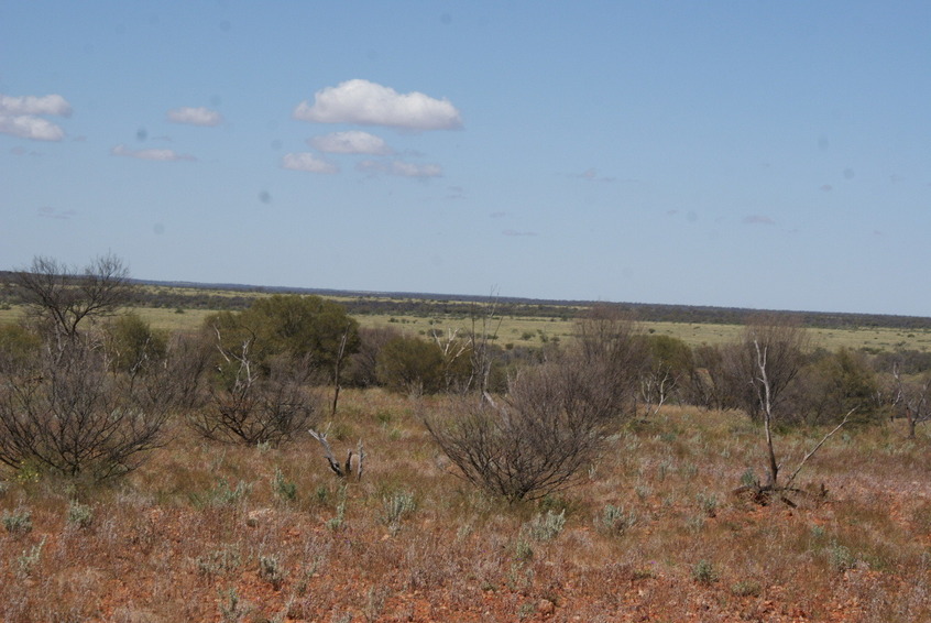 The watercourse containing the confluence (view is south)