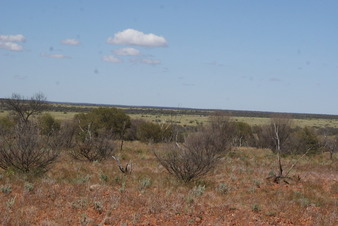 #1: The watercourse containing the confluence (view is south)