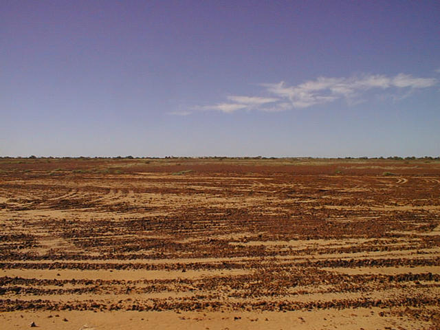 The Confluence gibber plain.