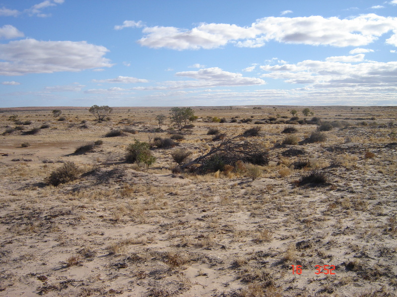 looking north from confluence