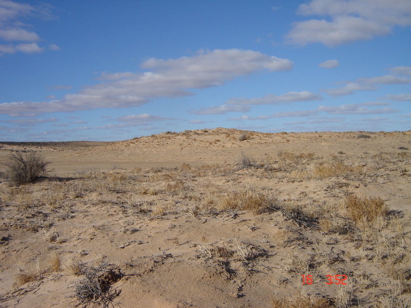 looking south from confluence