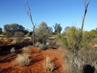 #4: Looking east from the confluence spot