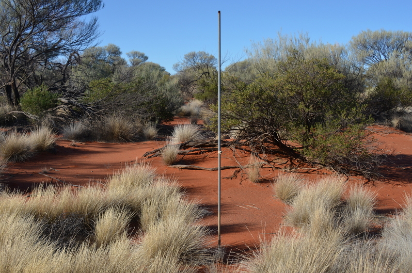 We walk straight into this large pole on the way to the Confluence