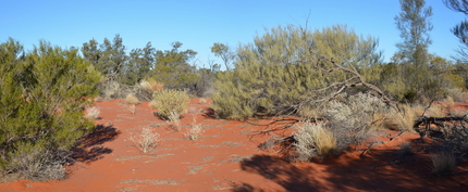 #1: General View of the Confluence area