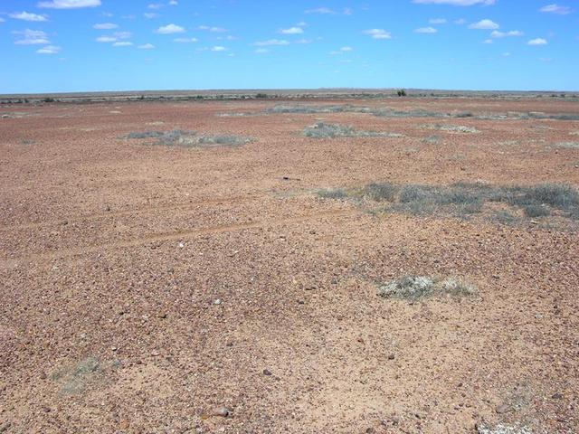 View of the confluence looking north east