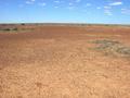 #4: View from the confluence looking south