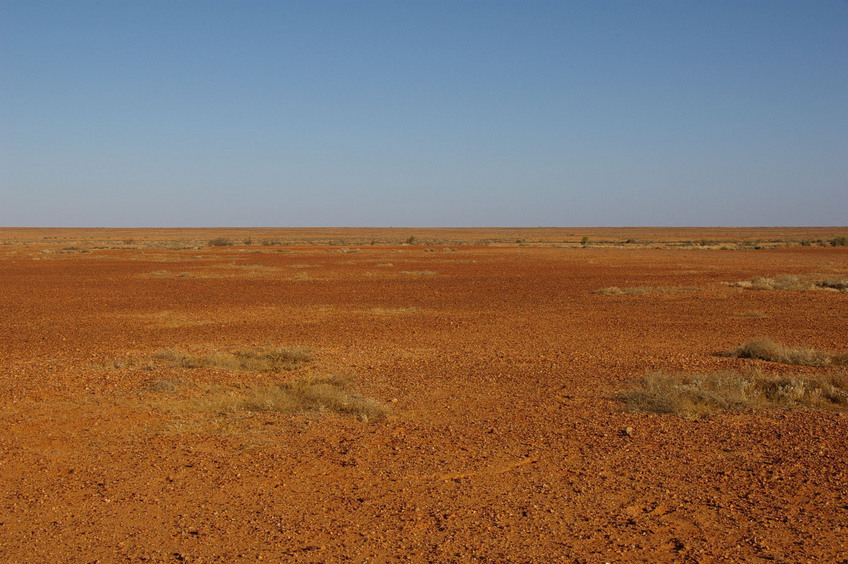 Looking South From Confluence