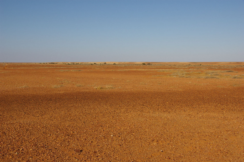 Looking East From Confluence