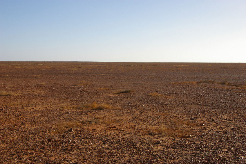 Looking West From Confluence