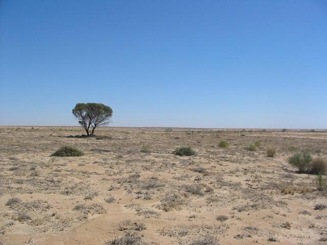 The confluence looking west