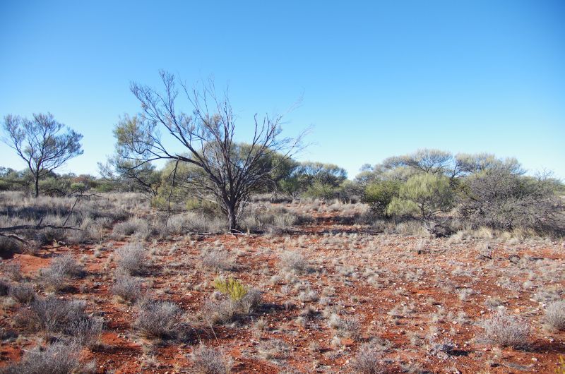 General view of the confluence area