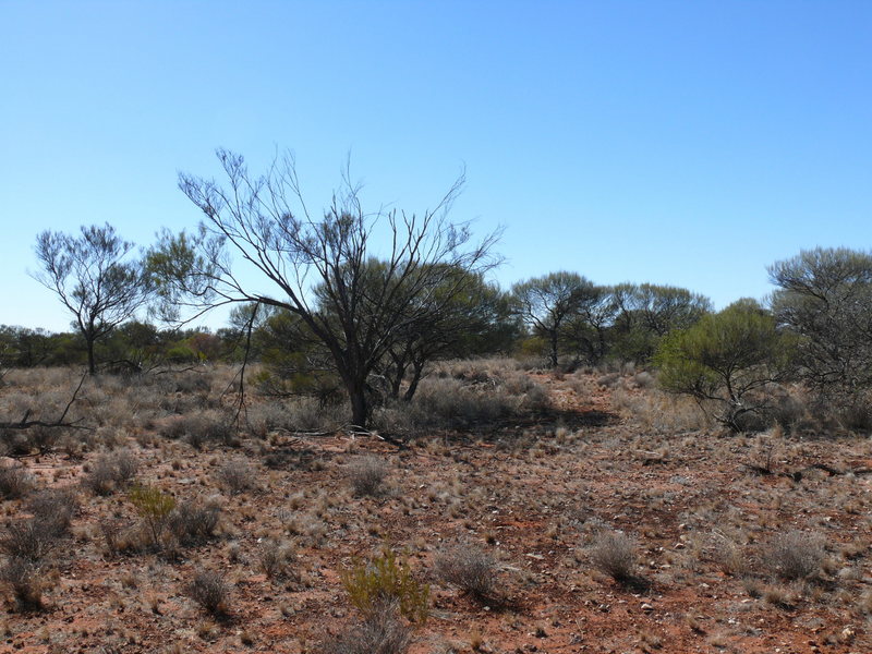 North from point