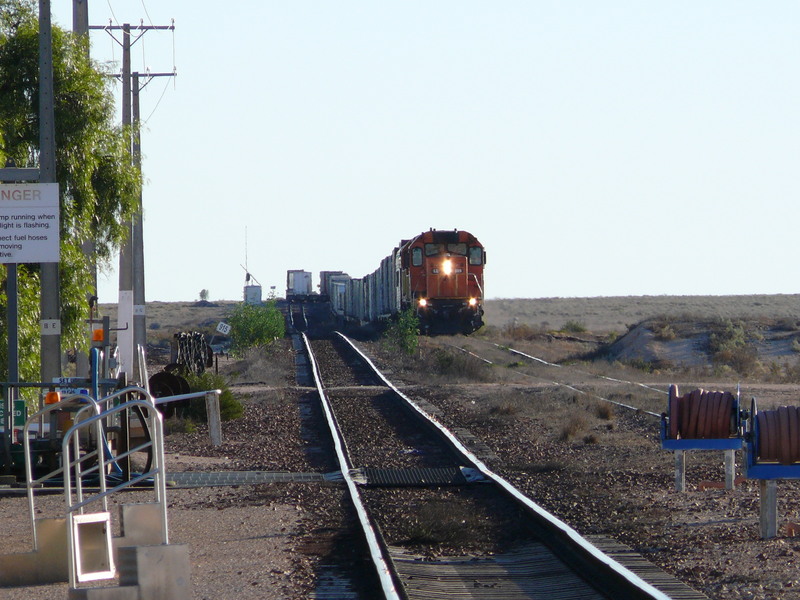 One train in from west and one out to west at Cook