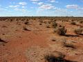 #2: View from the confluence looking north (note communications tower in the centre of the view)