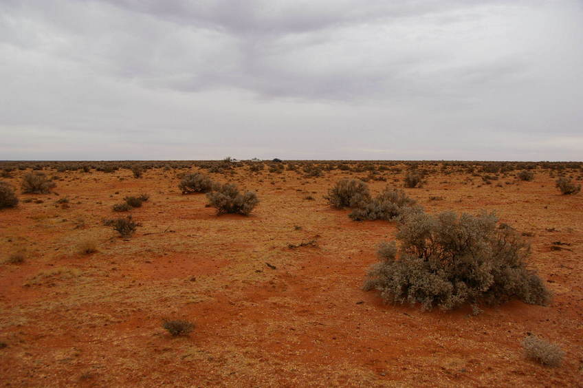 Looking West From Confluence