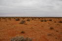 #3: Looking South From Confluence