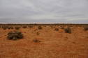 #4: Looking East From Confluence