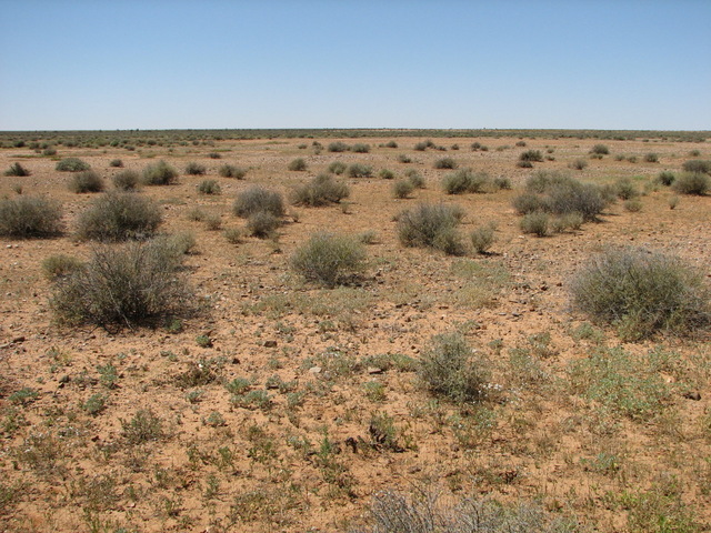 View of shrub country at the confluence