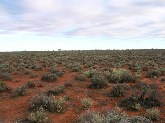 View looking South