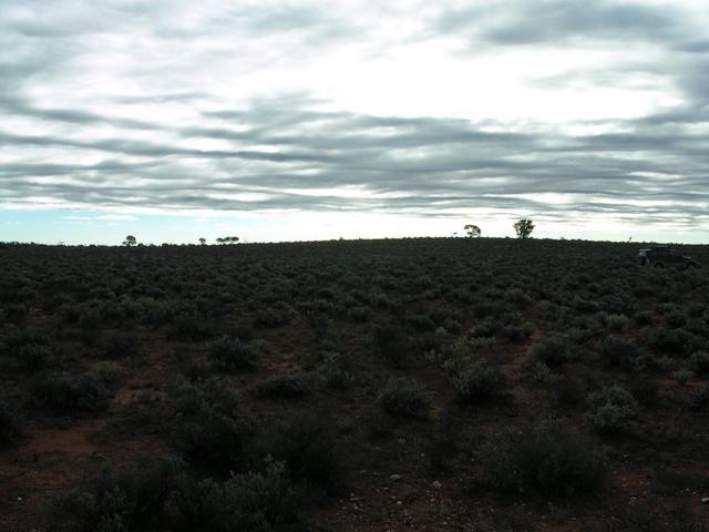 View looking West