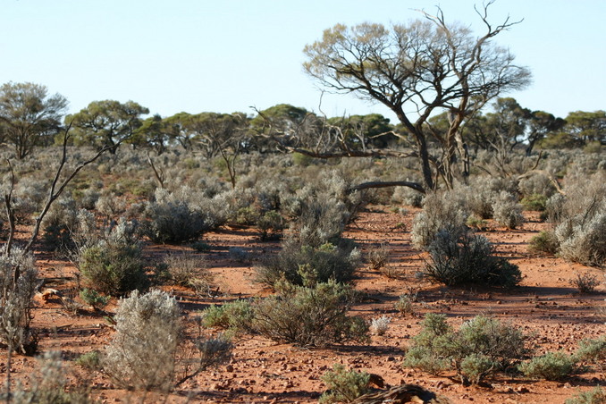 View North