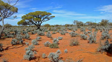 #1: General View of Confluence Area