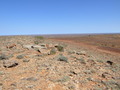 #11: View from Mt Michael looking towards Lake Torrens and the Confluence