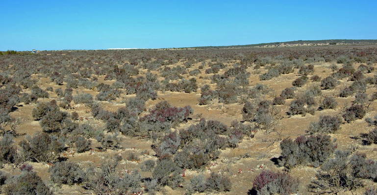 General View of Confluence Area