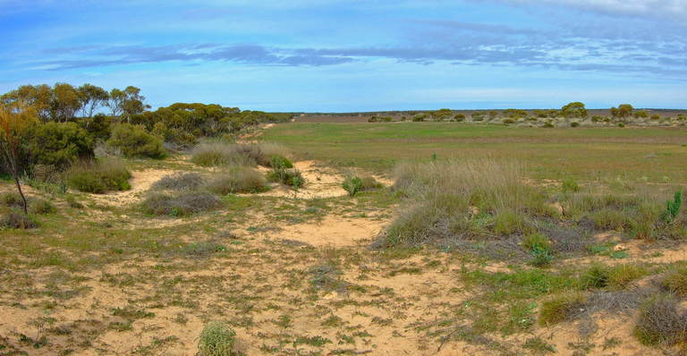 General View of Confluence Area