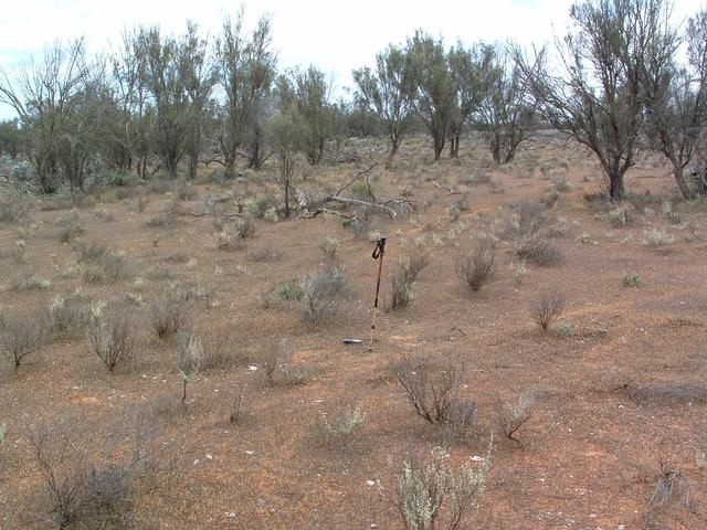 The general view of the site