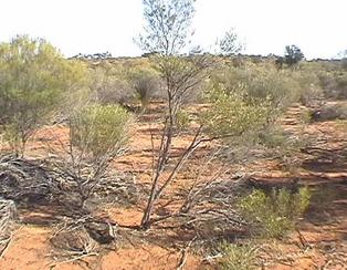 #1: General view of the confluence