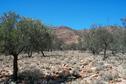 #4: At confluence looking east