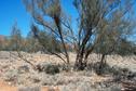 #5: At confluence looking south