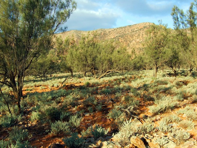 400 Metres from the Confluence