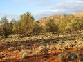 #4: Looking East from the Confluence