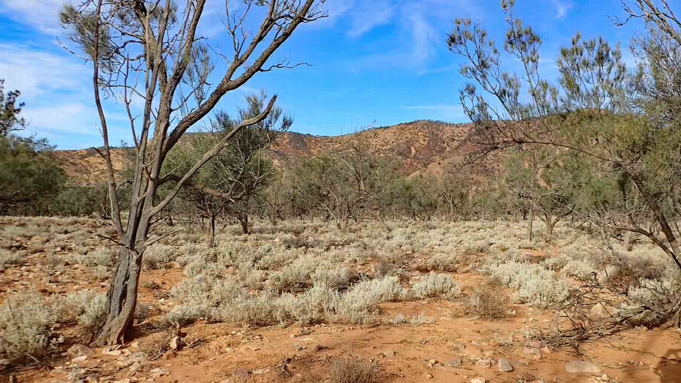 East toward Emaroo range