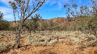 #2: East toward Emaroo range