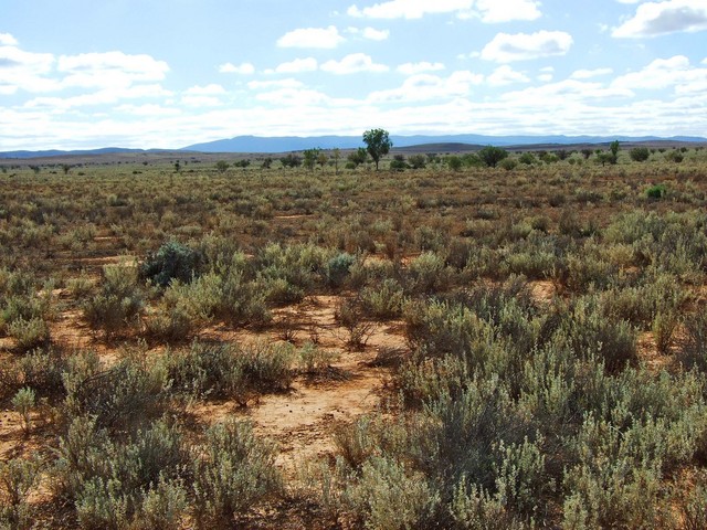 Looking North from the Confluence