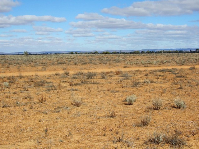 Looking South from the Confluence