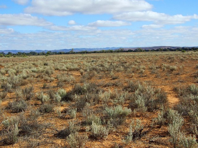 Looking West from the Confluence