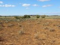 #3: Looking East from the Confluence