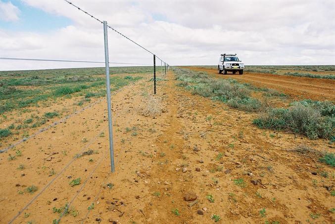 Looking south along border