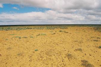 #1: Looking SW toward Confluence 15m away in middle of frame